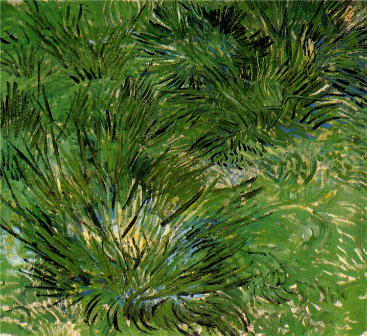 Clumps of Grass Vincent Willem Van Gogh Oil Painting